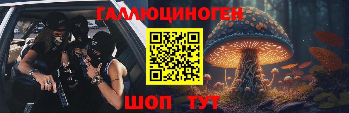 Сегежа  Псилоцибиновые грибы мицелий  продажа наркотиков  Вход с VPN 