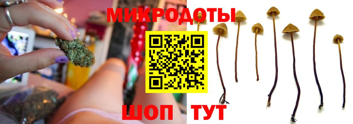 Псилоцибиновые грибы мицелий Сегежа